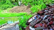 Vasai's Ancient Ponds Disappear to Real Estate, Activists Fight Back