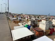 Vendors Reoccupy Marina Beach Loop Road Defying Court Orders