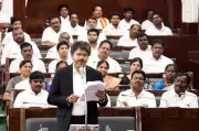 Vijay Says Single-MLA Parties Deserve Same Respect in Assembly