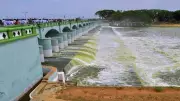 Vijay Writes to PM Modi Over Mekedatu Dam: TN-Karnataka Dispute Explained