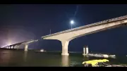 Vikramshila Setu Collapse: Bihar CM Orders Probe, Suspends Engineer