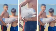 Viral Bihar Dolphin Video Sparks Concern Over Wildlife Safety