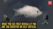 Viral Brain Teaser: Cloud or Fish? What Your First Glimpse Reveals About You