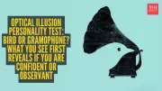 Viral Optical Illusion Reveals Hidden Self-Confidence Traits