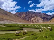 Viral Video of Kids Collecting Biscuit Toll in Zanskar Valley Wins Hearts
