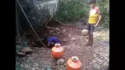 Water Crisis in Goa's Gaondongrim: Wells Dry, Residents Dig Riverbeds