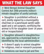 West Bengal bans cow slaughter without fitness certificate under 1950 law