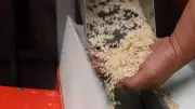 West Bengal Rice Industry Seeks Infrastructure Boost from New BJP Government