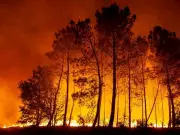 Western US States Use AI for Early Wildfire Detection