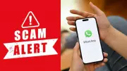 WhatsApp Safety Features to Protect Against Online Scams and Fraudsters