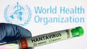 WHO Confirms Six Hantavirus Cases on Spain-Bound Cruise Ship