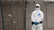 WHO Warns Andes Hantavirus Most Infectious at Illness Onset, Urges Quarantine