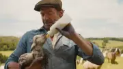 Whodunit: Sheep Play Detectives in New Mystery Film