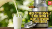 Why Anand is Called the Milk Capital of India: History and Role of Amul