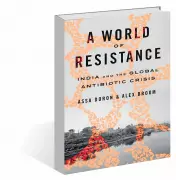 Why Antibiotic Resistance Persists: A Deep Dive into the Science