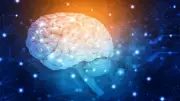 Why Brain Health Is Urgent Priority for G7 Member Countries