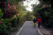 Why Delhi's Green Ridge Is Hottest Despite Lush Greenery