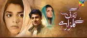 Why Indian Punjabis Tune into Pakistan TV Dramas