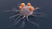 Why Starving Cancer by Cutting Sugar May Harm Patients More Than Help