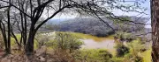 Wildlife Survey Reveals Major Biodiversity Surge in Sukhna Sanctuary
