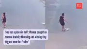 Woman Arrested for Throwing and Kicking Small Dog on Camera in Florida