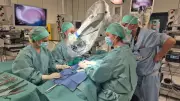 World First: Frozen Testicular Tissue Restores Sperm After 16 Years