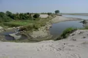 Yamuna River Shrinks to a Trickle in Delhi, Raising Ecological Concerns