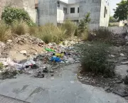 Yamunanagar Owners Must Fence Vacant Plots or Face Action