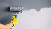 Zydex Paints Launches Silicate Mineral Paint for Eco-Friendly Homes