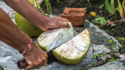 10 Regional Jackfruit Dishes from Around the World and Why It Is Celebrated So Much