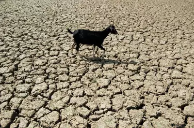 181 Maharashtra Blocks Highly Vulnerable to Low Rainfall, Report Warns of Farming Distress