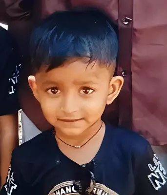 3-Year-Old Dies from Snake Bite in Ambernath, Family Alleges Hospital Delay