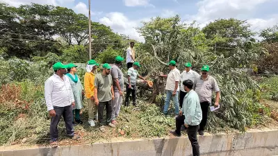 30 Trees Chopped Along Train Tracks in Mysuru; RFO Issues Notice to Railways