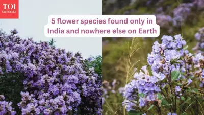 5 Stunning Flowers Found Only in India's Unique Ecosystems