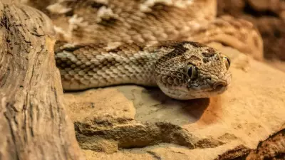 5 Utah Waters Teeming with Snakes: Lakes, Rivers & Wetlands