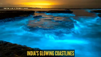 6 Magical Places in India to Witness Bioluminescent Waters