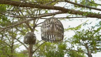 7 Humane Ways to Stop Birds From Pooping on Your Patio