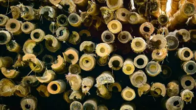 ADB Approves $42.2M Loan for Bamboo Industries in Northeast India