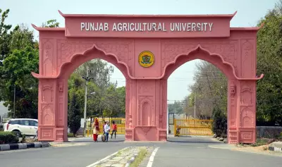 AI Course Begins at Punjab Agricultural University in Ludhiana