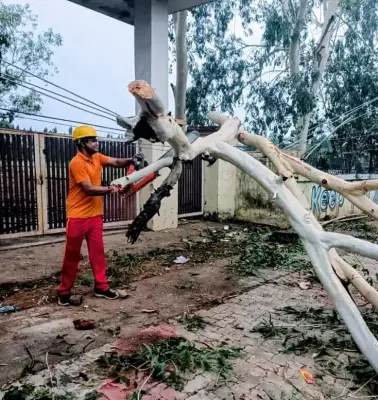 AI Image Gaffe, Power Delay, Minister's Fumble: Odisha's Blunders