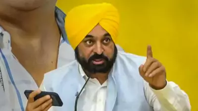 Akal Takht Releases Video of Punjab CM Mann's Appearance Over Objectionable Video