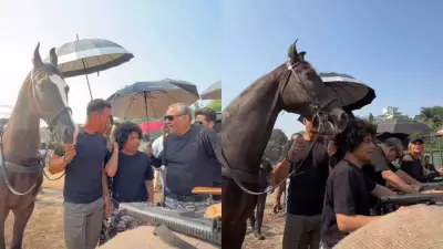 Akshay Kumar's Horse Pranks Rajpal Yadav on Welcome To The Jungle Set