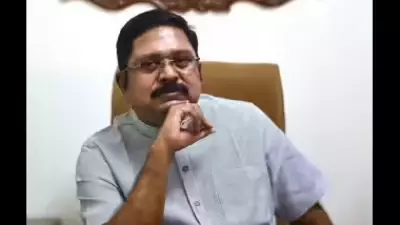 AMMK's Dhinakaran Says Party Will Stand by AIADMK, Hints at Possible Merger