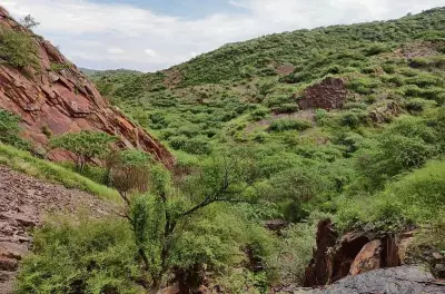 Aravalli NCZ to Stay in Regional Plan 2041, Boosting Delhi Ridge Protection