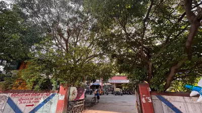 BDA Withdraws Request to Cut 184 Trees in Bengaluru's HSR Layout