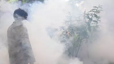 Bengaluru Dengue Cases Drop, Monsoon Poses New Health Risks