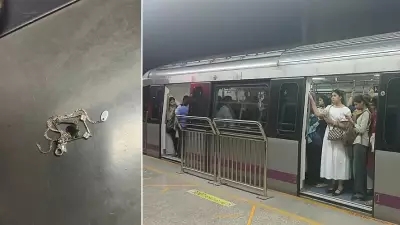Bengaluru Metro Purple Line Snag at Cubbon Park Caused by Metal Chain