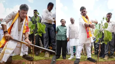Bengaluru to Plant 15 Lakh Saplings to Become 'Garden City' Again: DK Shivakumar