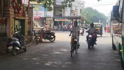 Berhampur Man Creates Rs 3,000 Multipurpose Roof for Bicycle to Beat Heat