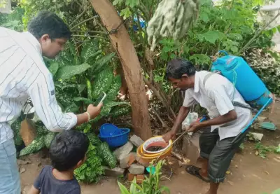 Bhubaneswar Dengue Cases Drop 92% in 2 Years: BMC Efforts Pay Off
